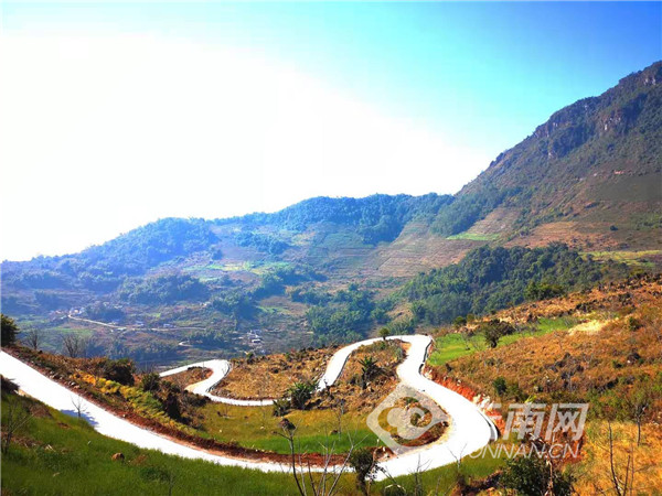 我们找到了正带领着工人们铺吧台木板的木场乡党委书记罗瑞,他俯下