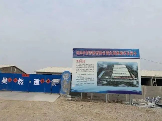 万科跨界这一年 身价不再？