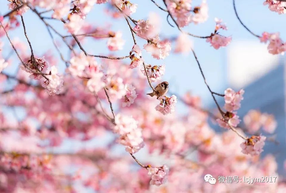 王炸来啦！3月最值得期待的一只新基金