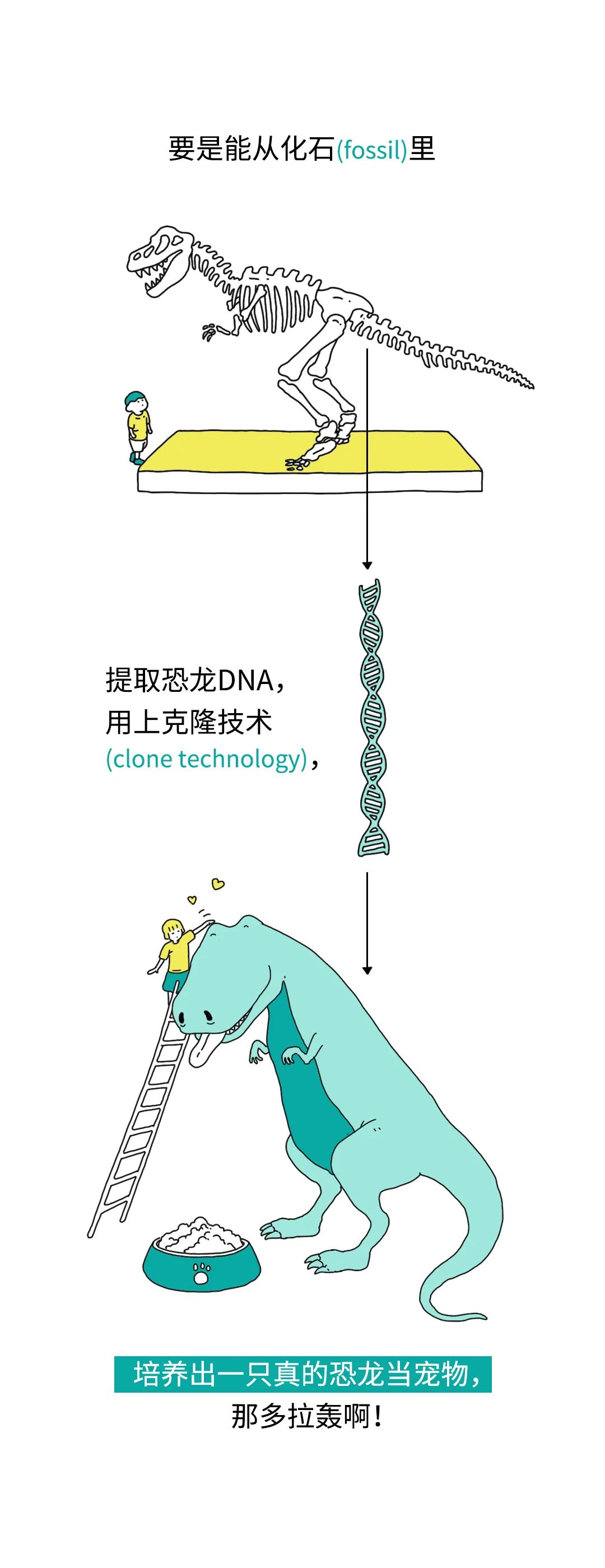 涨知识｜我们能复活恐龙吗?