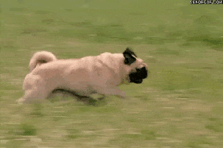 440_293gif 动态图 动图