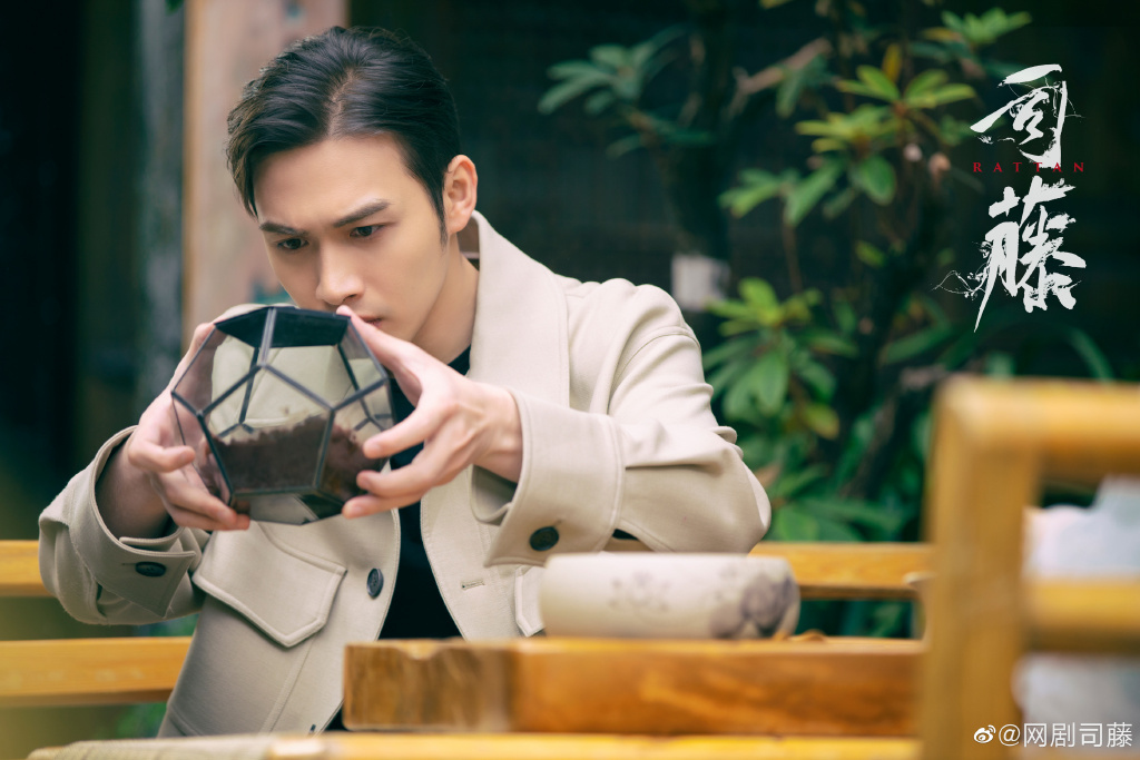 《司藤》:人设带感,剧情还可以加把劲