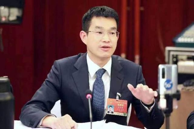 人大代表陈康平：建议加快推动光伏建筑一体化