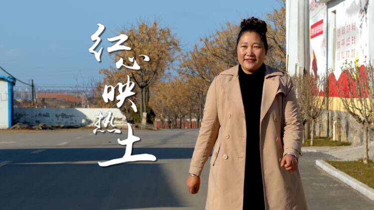 致敬最美女性|陈淑华:用无悔芳华 诠释最美妇联人的担当