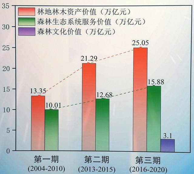 江西林业司法鉴定全解析:林木价值评估、林地权属纠纷与林业案件鉴定实务指南