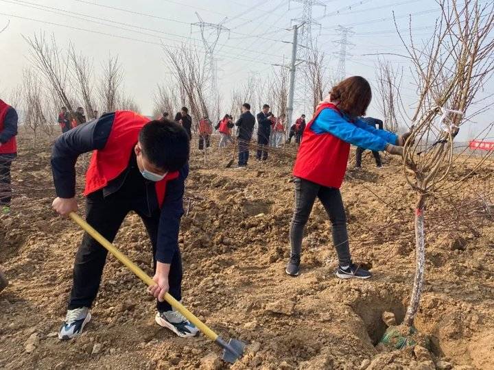 【播种绿色希望】山东体彩组织开展植树节公益活动