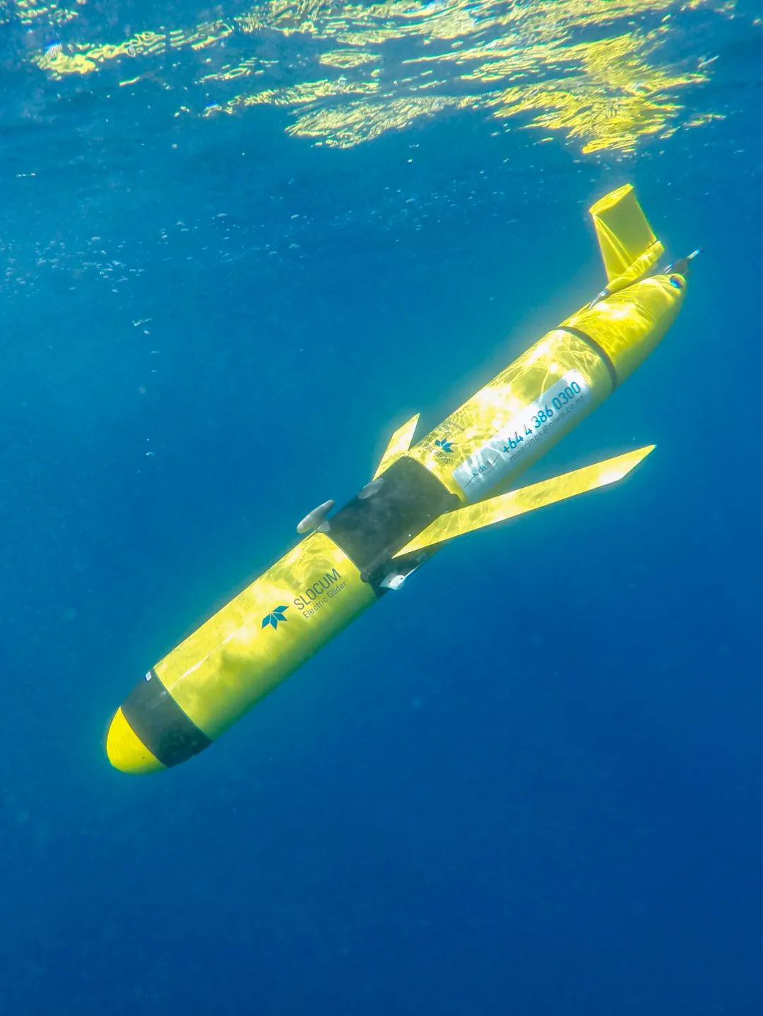 体温多少度了?该如何测量?快跟科学家一起来看看吧!