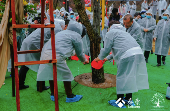 植树节，泰康三地纪念园举办植树及果树认养活动