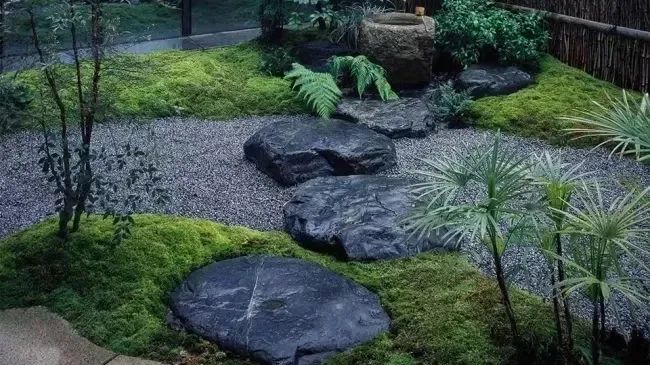 干货汀步杂乱与韵律的交融之美