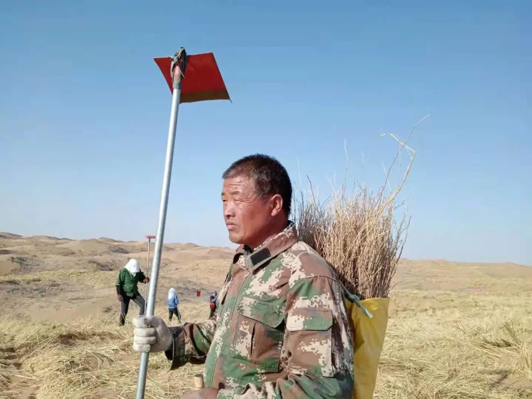 受访者供图越发有经验的王银吉治沙初见成效,正当他们准备扩大治沙