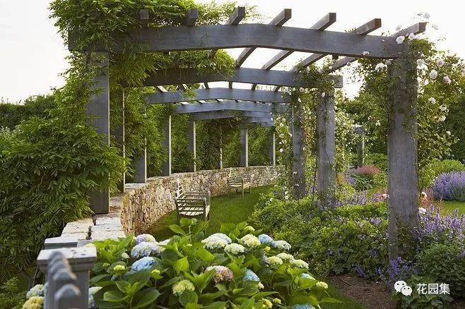 园林景观中的重头戏来了植物配置大集锦让你收获颇丰