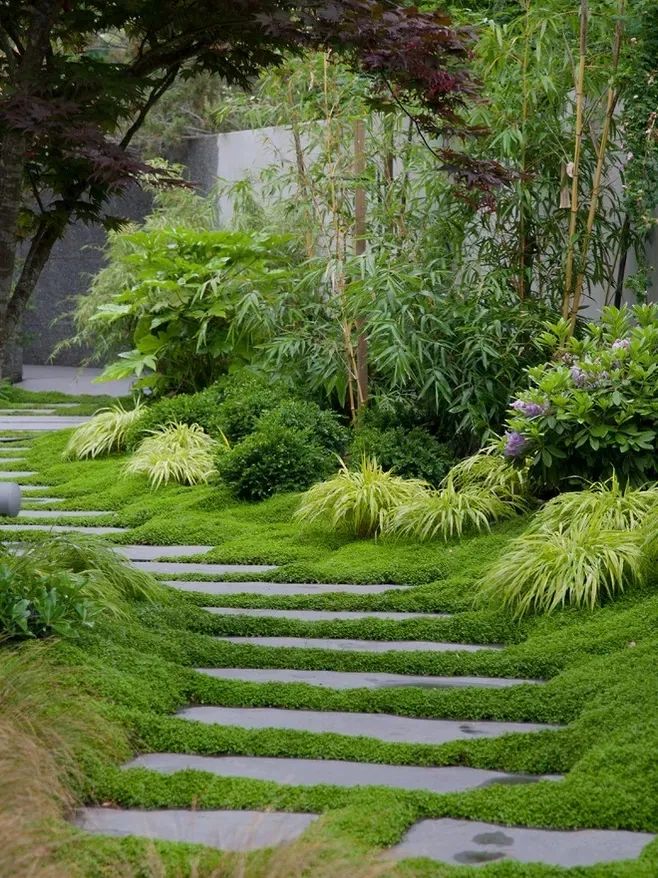 干货汀步杂乱与韵律的交融之美