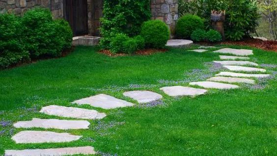 干货| 汀步——杂乱与韵律的交融之美|园林|庭院|交融_新浪新闻