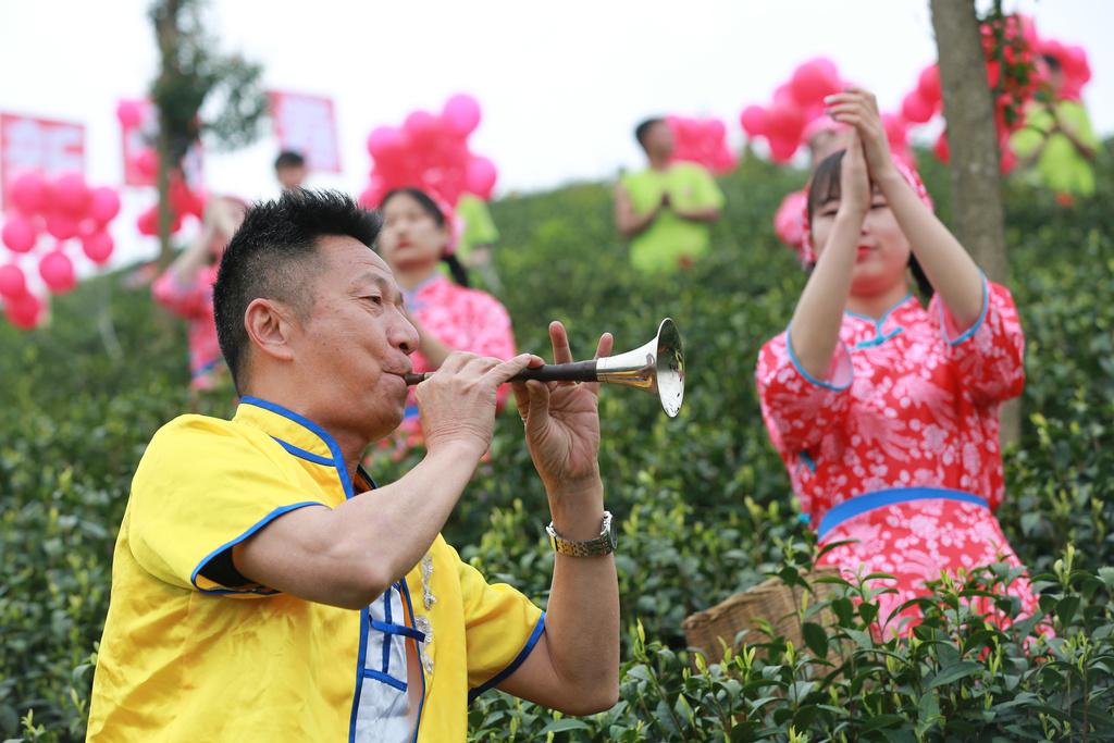 大竹县第五届"喊山开茶文化节"开幕 唢呐吹响乡村振兴新号角