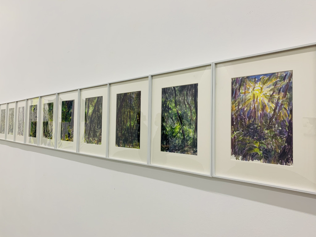开启一段"复照"之旅 王俊个展"青苔"开展