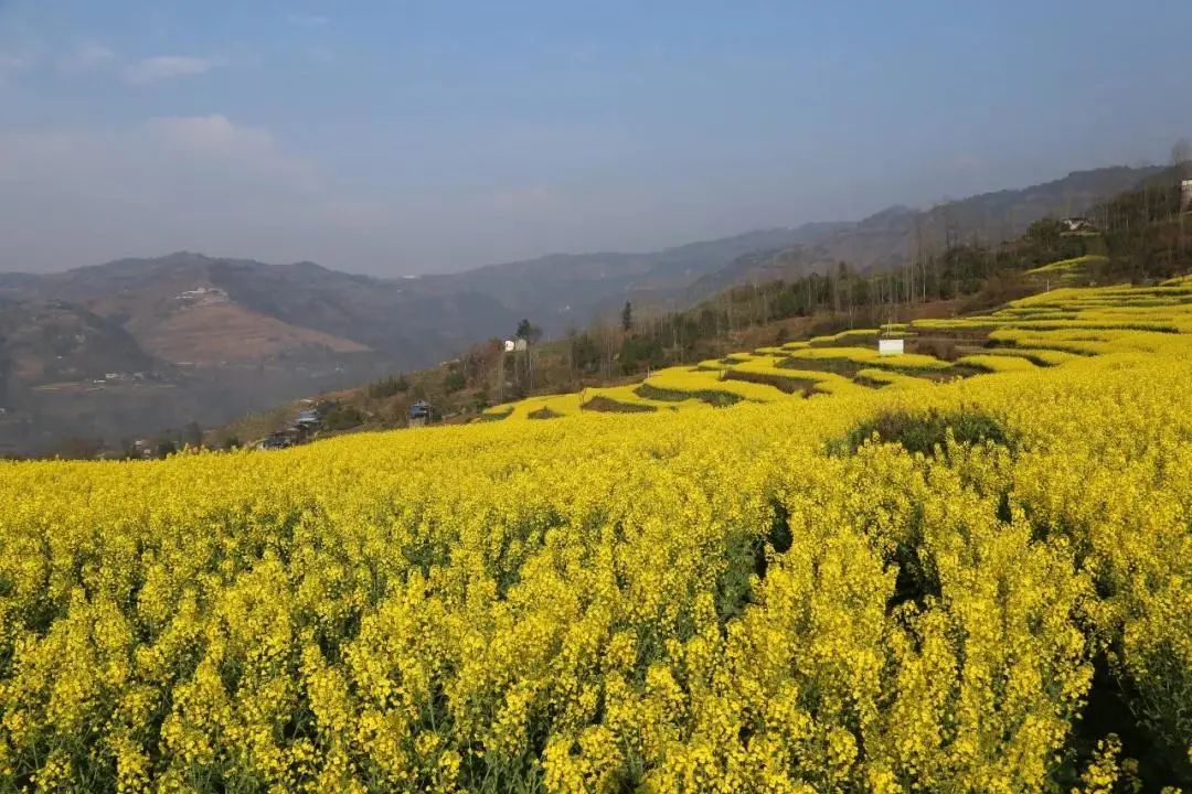 栖霞镇风光&nbsp; 云阳县文化旅游委供图