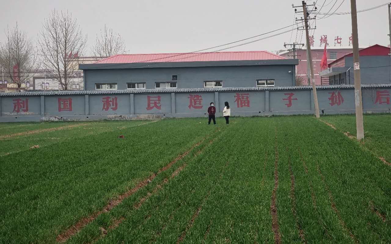 二月二龙抬头解封一周后的藁城满街烟火气生活态