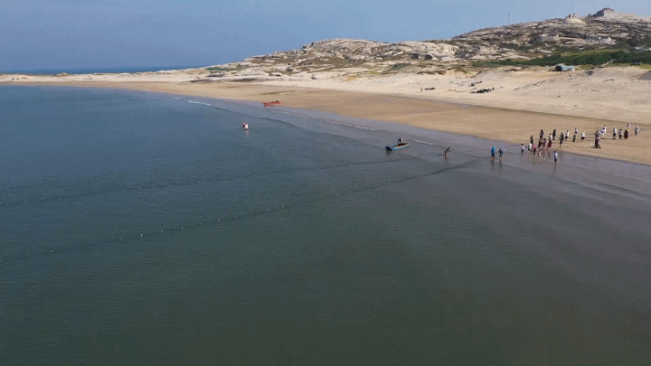 福建适合春天踏浪的三个旅行地|沙滩逐浪鸥鸟追
