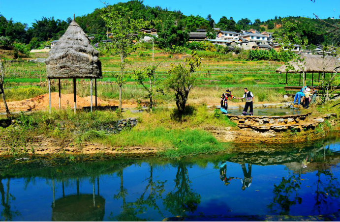 云南宁洱发展全域旅游描绘乡村振兴新图景