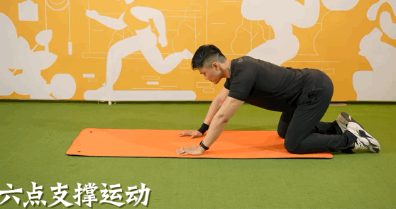 运动|长者健身指南1:缓解腰背痛的训练|健身_新浪新闻