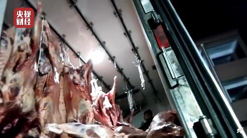 青县有多少人口_青县上伍乡哪村有古树(2)