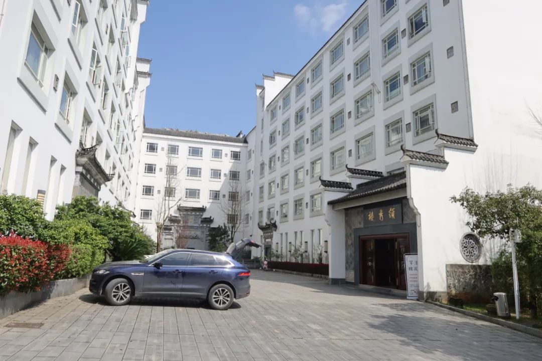 i回顾丨目光所及之处尽是金黄