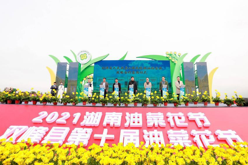 油菜花儿开三湘等您来2021湖南油菜花节今日开幕