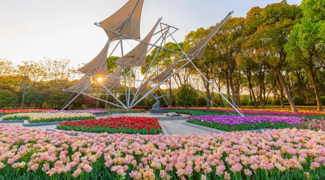 重庆鲜花港公园(重庆鲜花港公园最新规划消息)