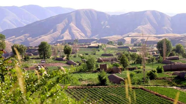 兰州西固:西柳沟街道补短板升颜值 构筑乡村"富,美,雅"