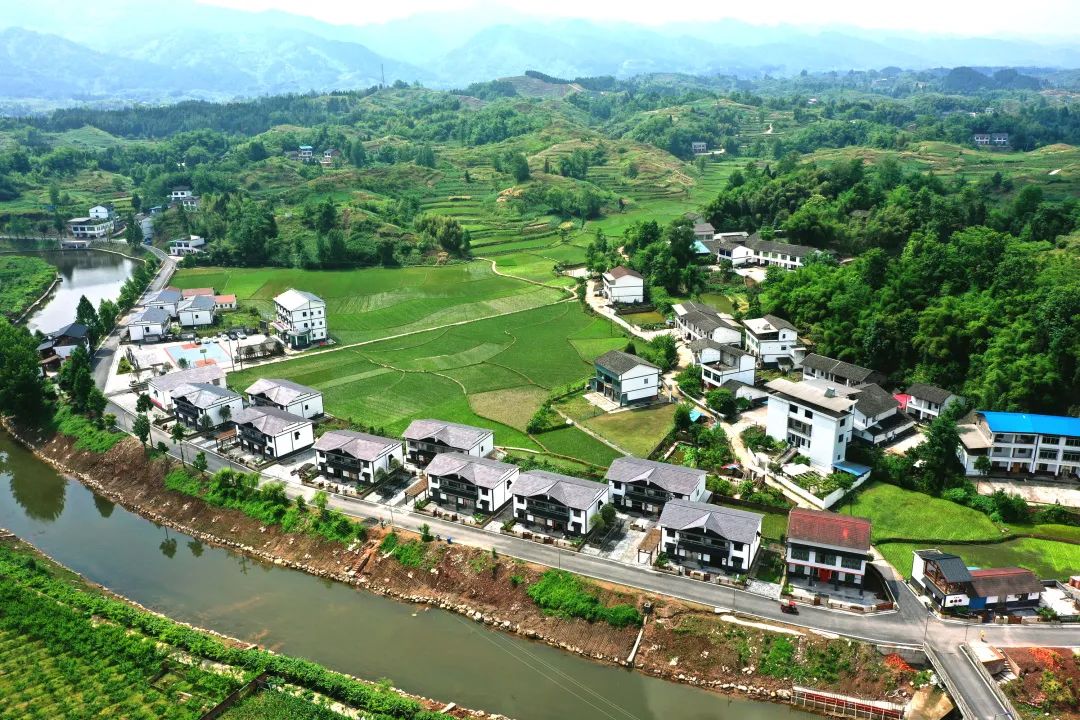 全国乡村阅读榜样——90后家庭农场主苏小伦,用书香浸润生产生活,引领