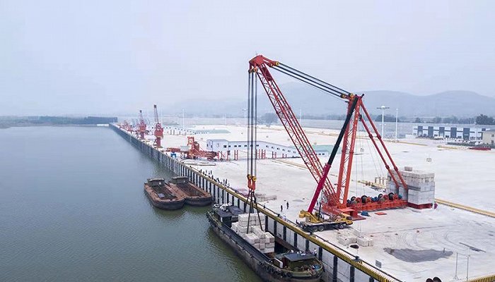 图片由东平港提供