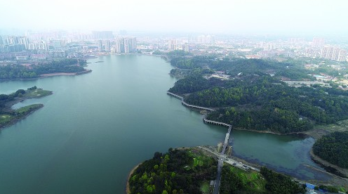 梓山湖|春花|园路_新浪新闻