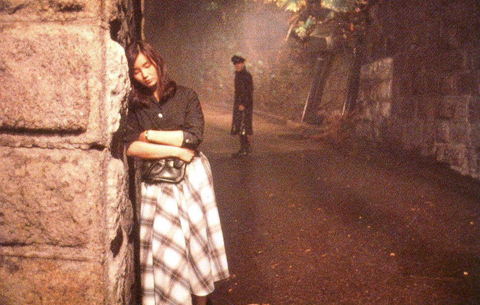 王家卫的电影世界独特视觉风格中的文学性