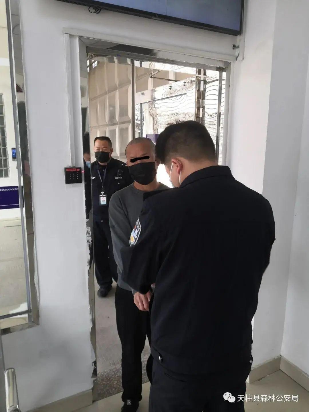 千里追逃,天柱县森林公安将在逃近6年的逃犯抓捕归案!