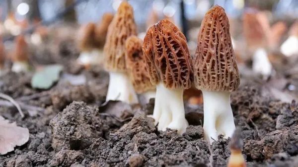 发这种朋友圈会被封号!找到了,申城“最帅弯腰少年”原来是他!休闲区蓝鸢梦想 - Www.slyday.coM 发这种朋友圈会被封号!找到了,申城“最帅弯腰少年”原来是他!休闲区蓝鸢梦想 - Www.slyday.coM