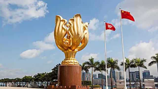 作为香港区徽,区旗及硬币的设计图案1997年,洋紫荆的元素1965年,洋