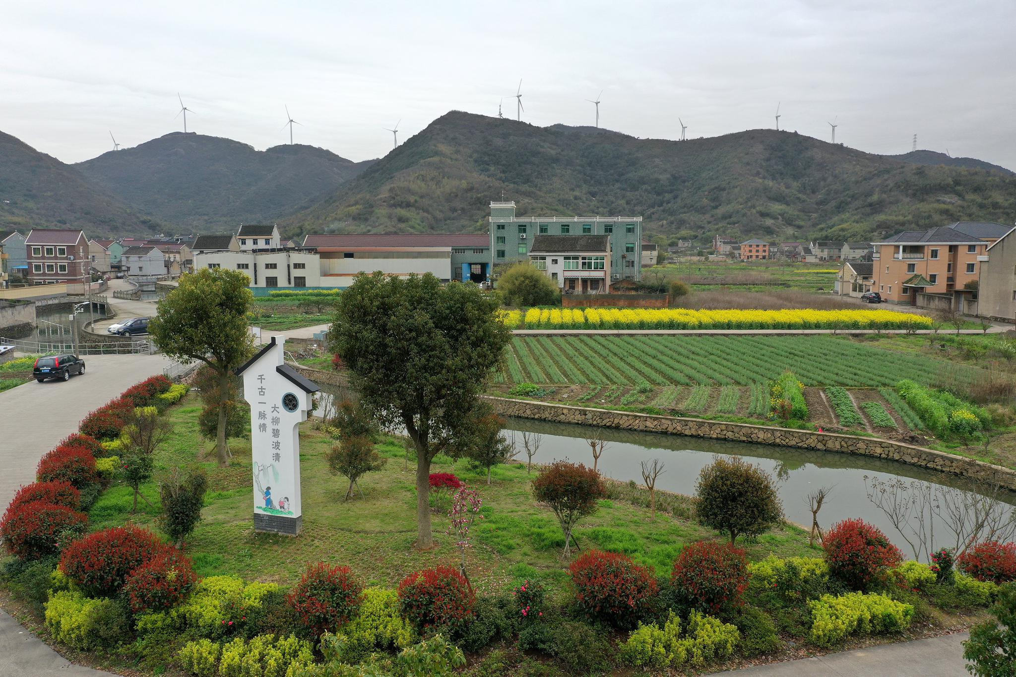 舟山:春临海岛景色美|金塘岛|舟山市|海岛_新浪新闻