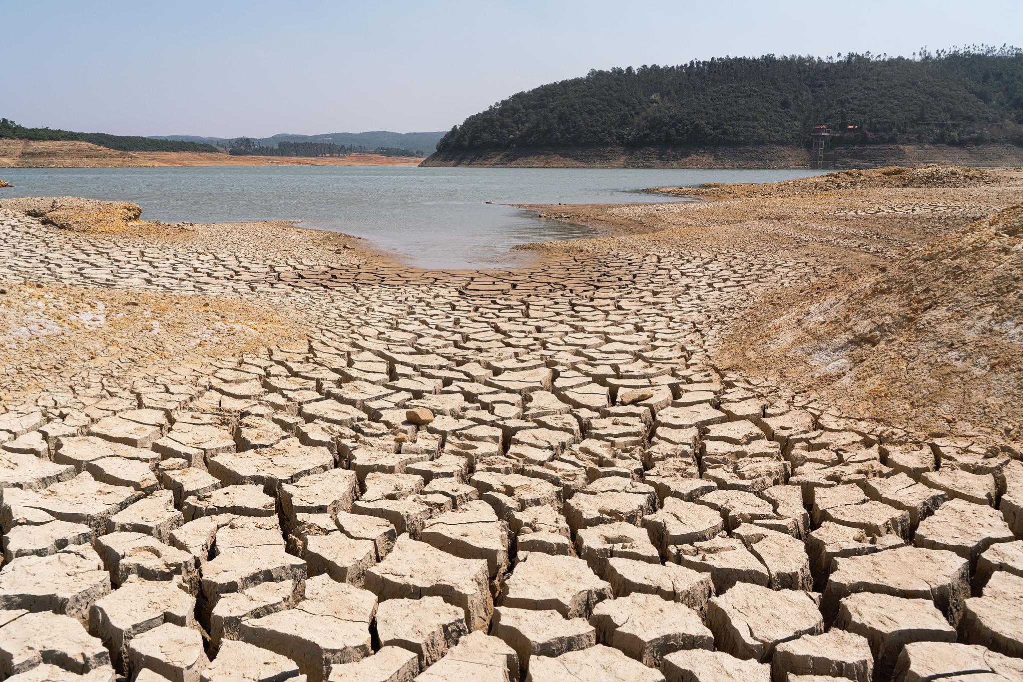特别是农村饮水困难情况和农作物旱情,进行会商研判,部署旱灾防御工作