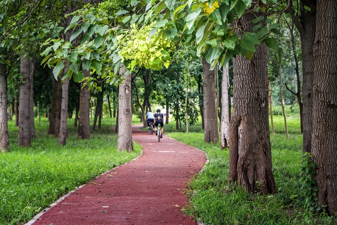 温榆河森林公园寇尚民 摄 资料图