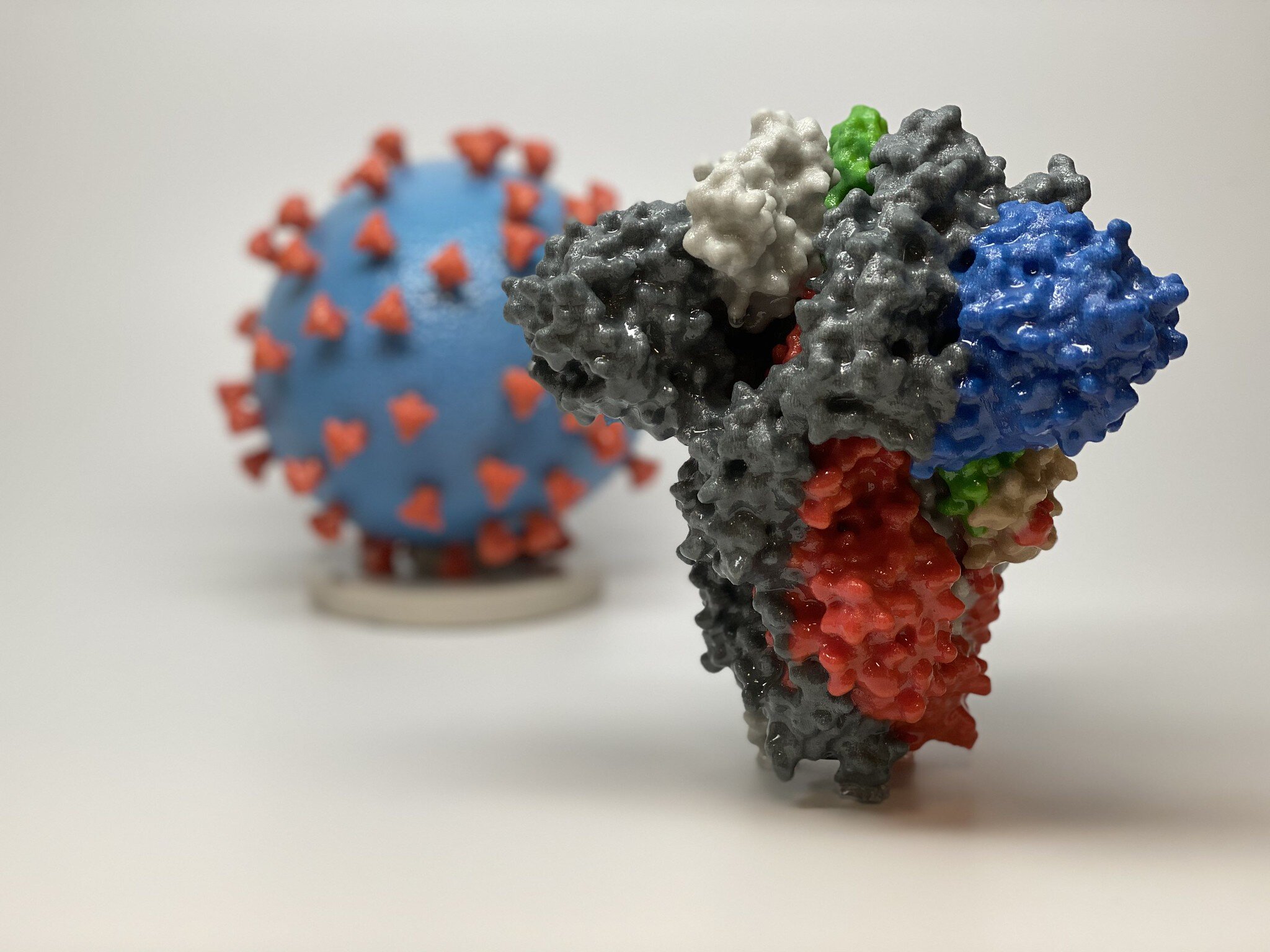 新冠病毒的刺突蛋白3D图图丨医学快报网站