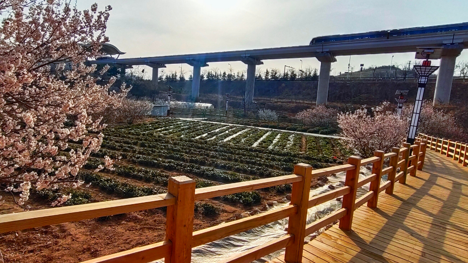 顺成视界崂山脚下庙石村乡村美丽似仙境