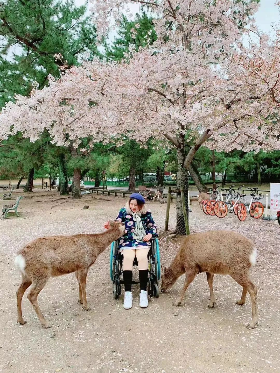 在父母的陪伴下,她再次踏上旅游之路出事后两年,孙晨璐每天都在医院