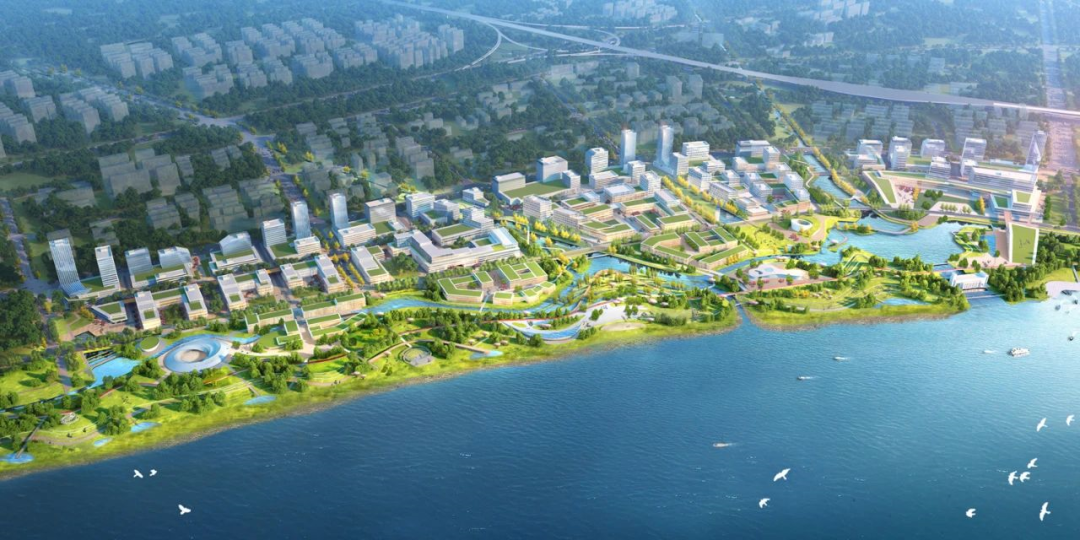 杭州三江汇放大招 这里真的要起飞了!|湘湖|三江|之江_新浪新闻