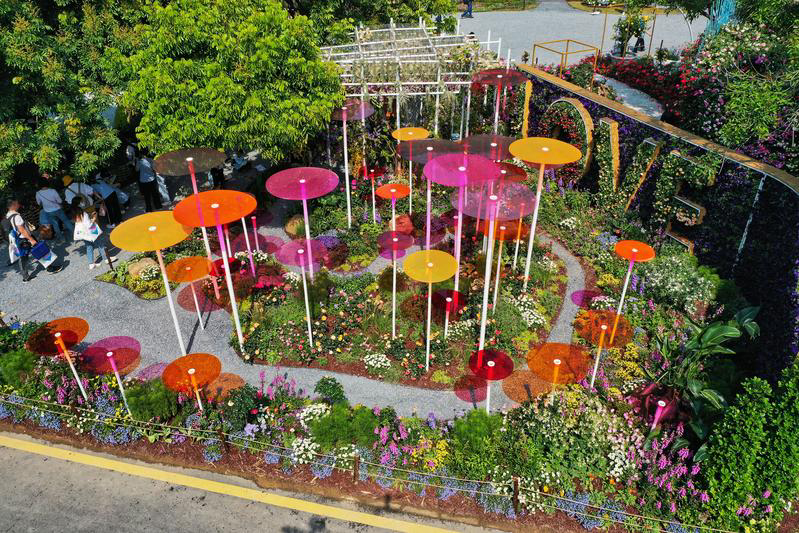 粤直击深深的爱2021粤港澳大湾区深圳花展抢先看