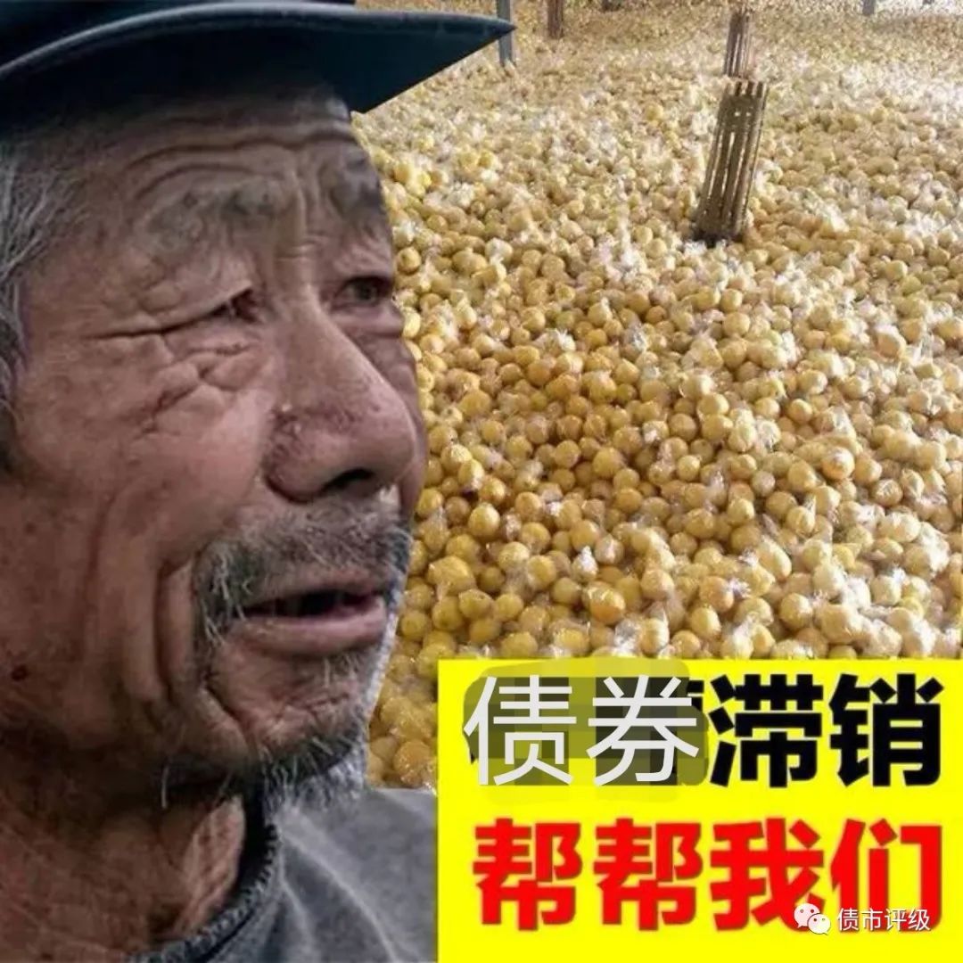 投资者从100个变50个,从50个变5个,到致的结果就是,大规模的债券滞销