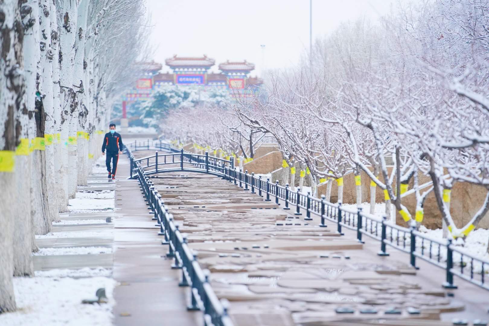 3月第一天北京下雪了网友又把厚羽绒服穿上了