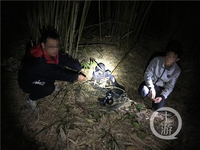 "馋嘴"男子非法捕获野鸡被抓现行