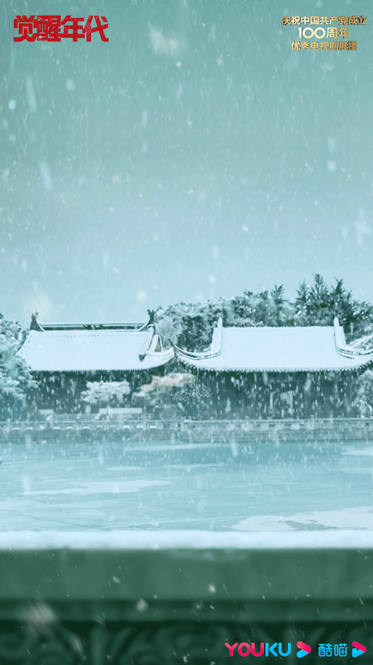 ▲动图来源：觉醒年代官博