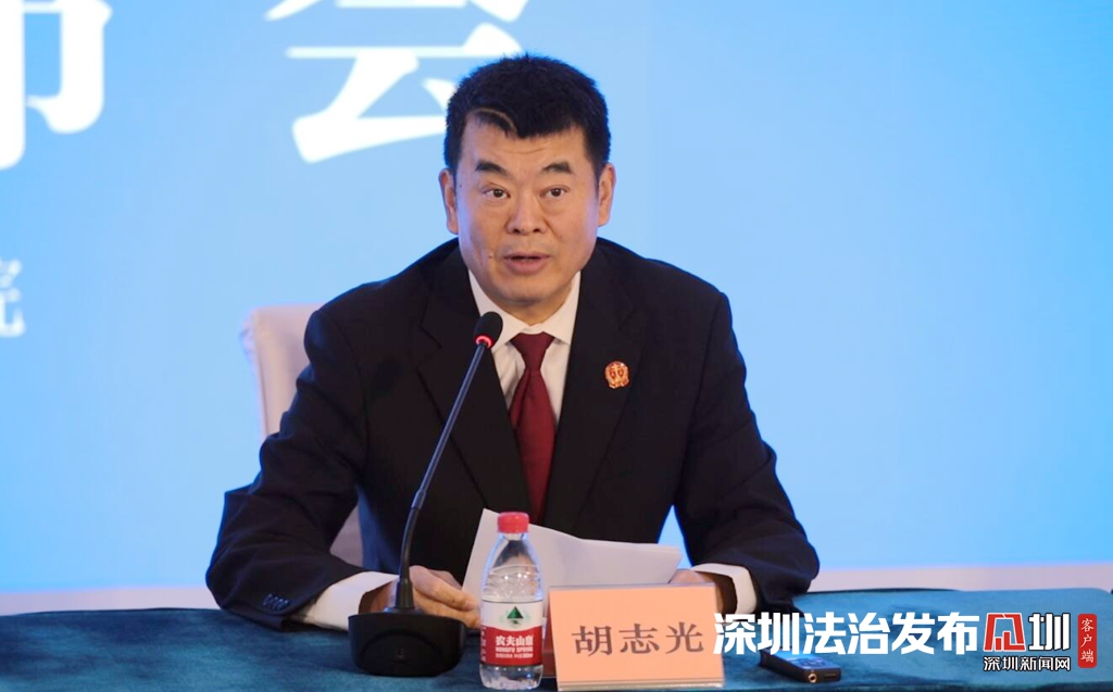 深圳中院党组成员,副院长胡志光介绍"破茧"系统的特点.
