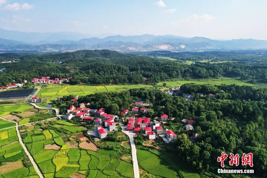 资料图：江西芦溪县秀美乡村航拍照片。刘占昆 摄